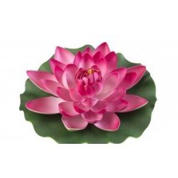 Lotus Foam pink 17 cm