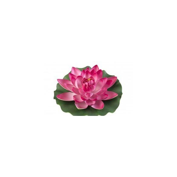 Lotus Foam pink 17 cm