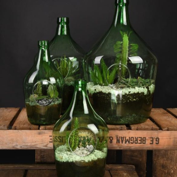 Nyitott florárium, 3 L AGG64