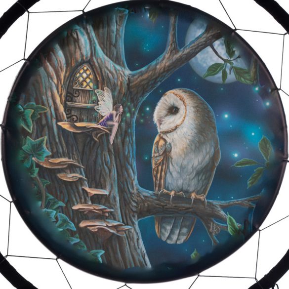 Álomfogó - Fairy Tales Owl & Fairy - Lisa Parker - 60cm