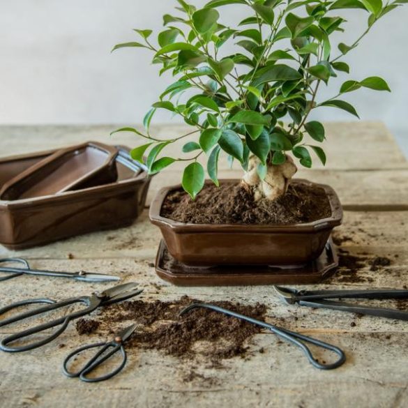 Fekete acél bonsai olló, 18 cm GT296